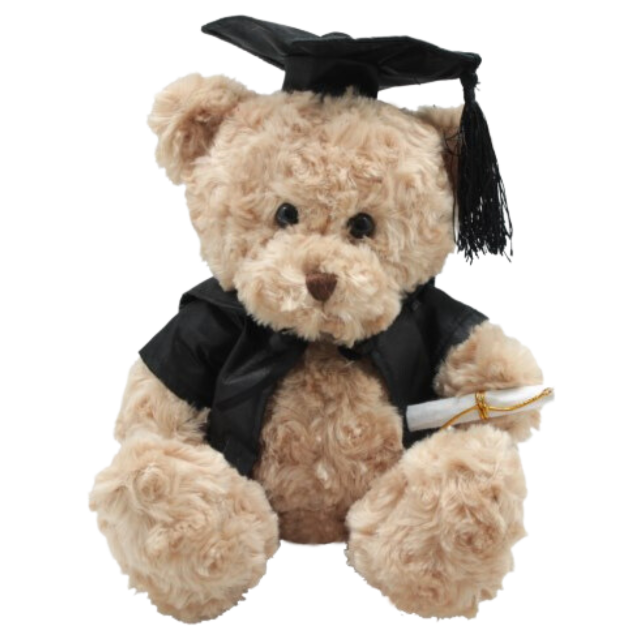 Brainy Box Bear 30cmH