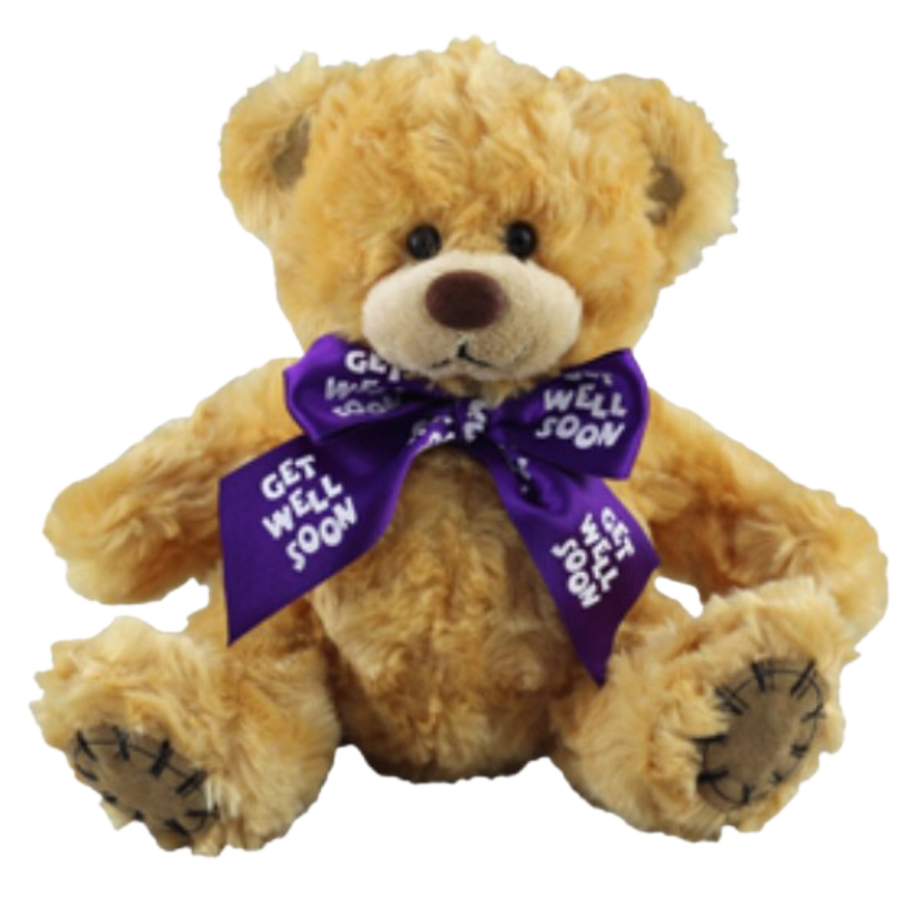 Get Well Soon Bear 19cmH
