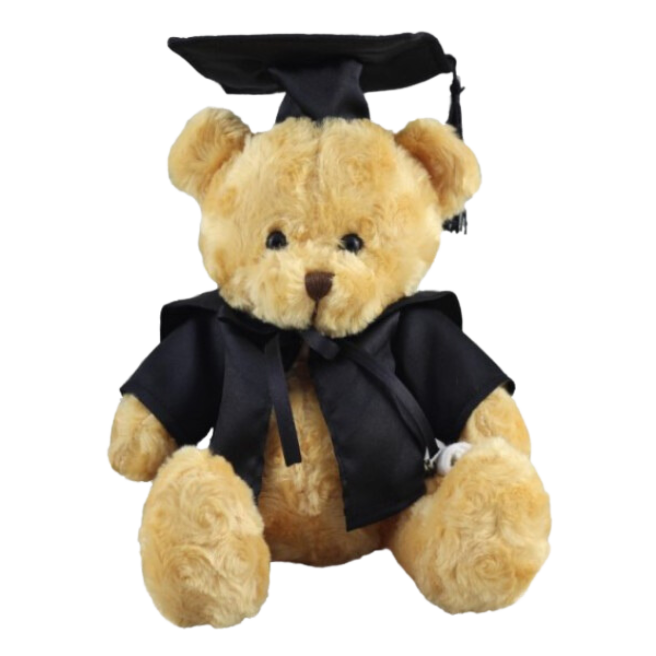 Scholar Bear 26cmH
