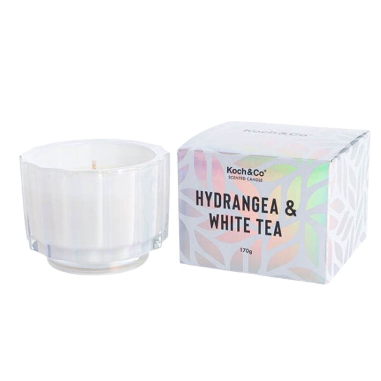 Candle Hydrangea/Wt Tea 7cmH
